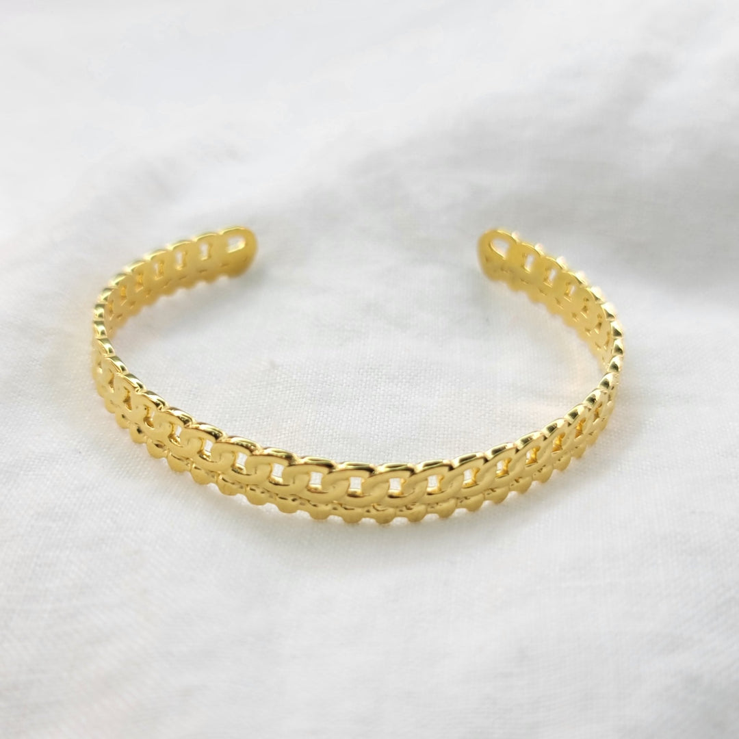 IDIANISPULSERAZoé Del Mar